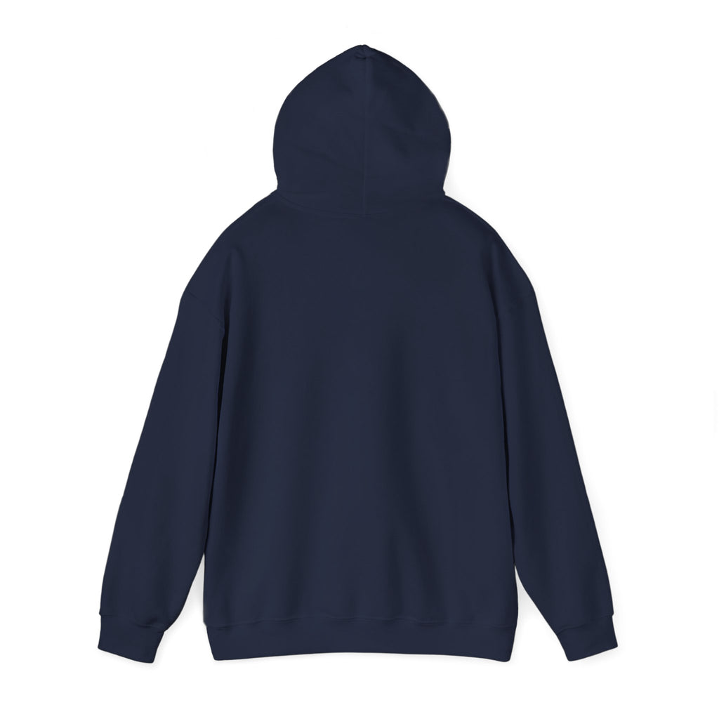 VYBE Retro Sunset Graphic Hoodie