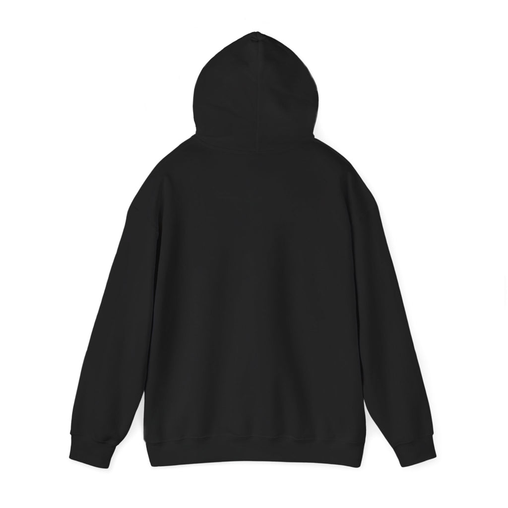 VYBE Retro Sunset Graphic Hoodie