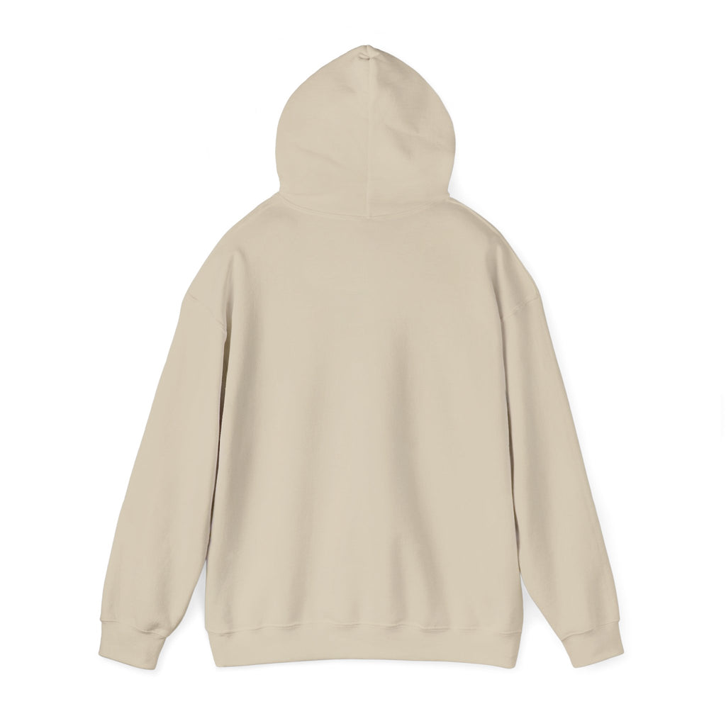 VYBE Retro Sunset Graphic Hoodie