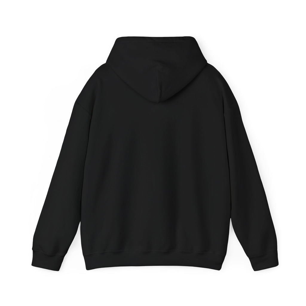 VYBE Retro Sunset Graphic Hoodie