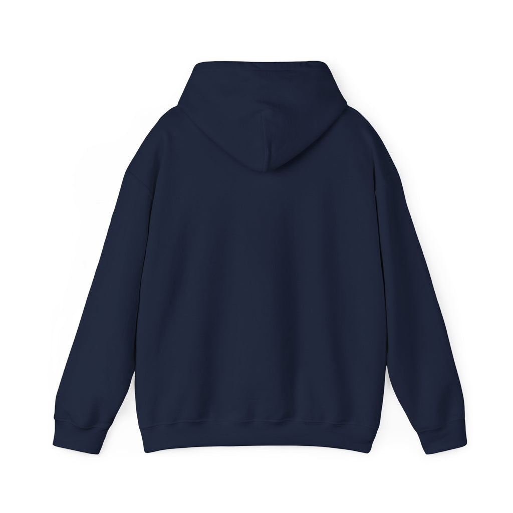 VYBE Retro Sunset Graphic Hoodie