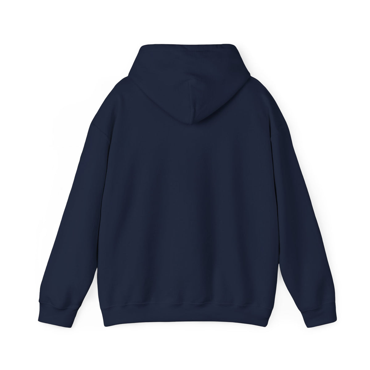 VYBE Retro Sunset Graphic Hoodie
