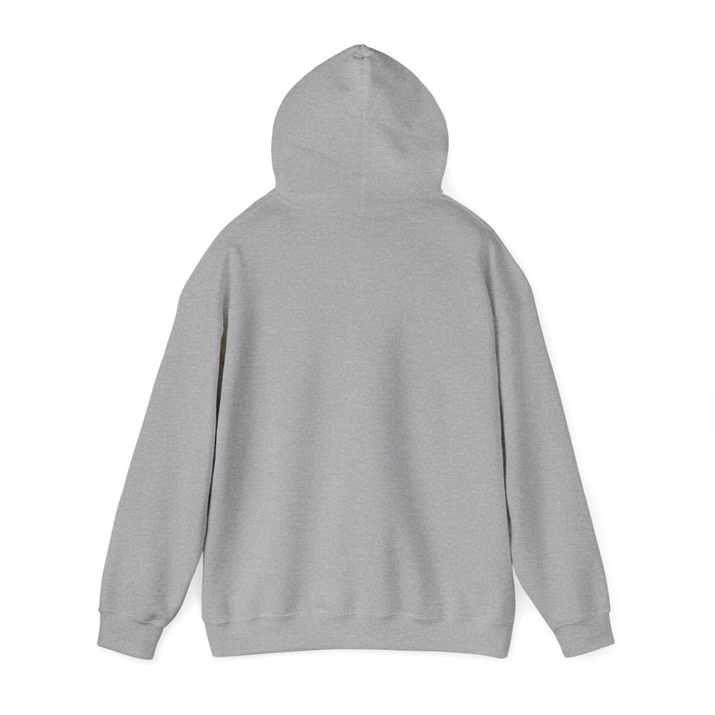 VYBE Retro Sunset Graphic Hoodie