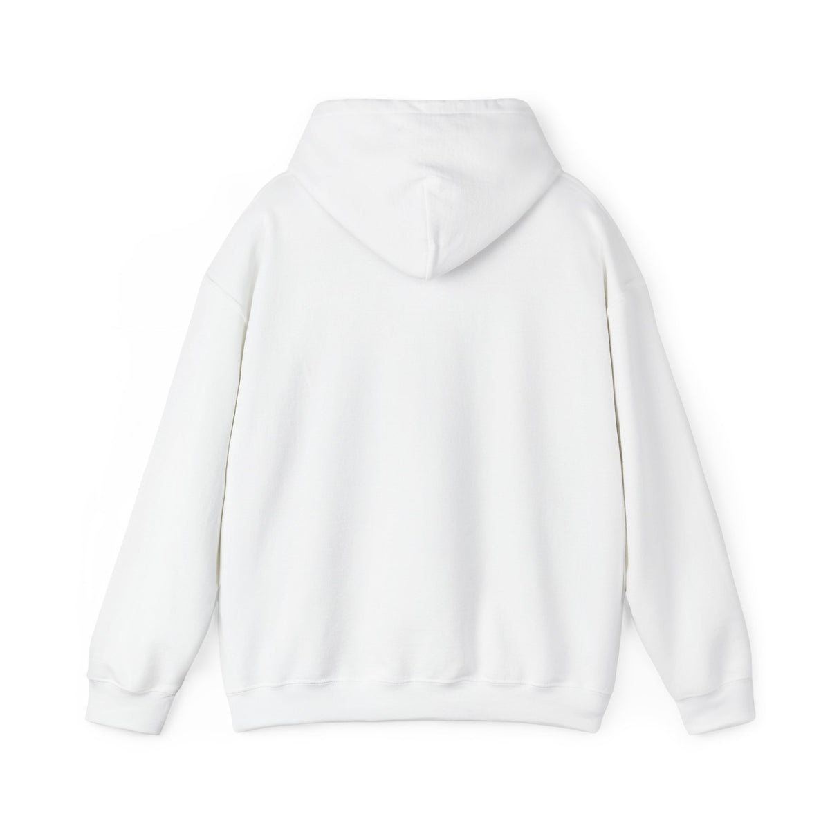 VYBE Retro Sunset Graphic Hoodie